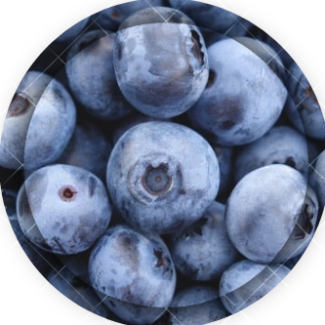 Profile picture of PAULA MONTECINOS